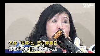 不滿「去蔣化」怒打鄭麗君　鄭惠中致歉：情緒激動失控