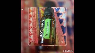 🙏🏻5/2🙏🏻感恩我2姐護理長買♥美國doTERRA ♥Tea Tree茶樹精油♥送給♥8妹NON.NO使用🙏🏻，😇我再拿來鼻子聞嗅茶樹精油的味道，可以提昇免疫力！🙏🏻
