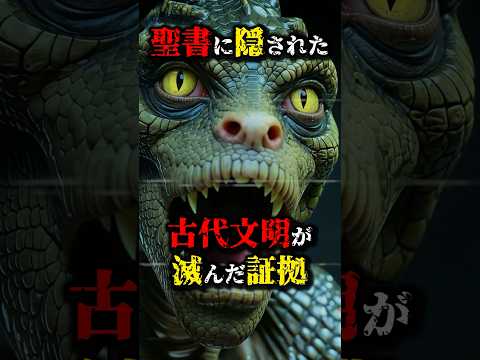 聖書は歴史書！？古代文明の痕跡が...