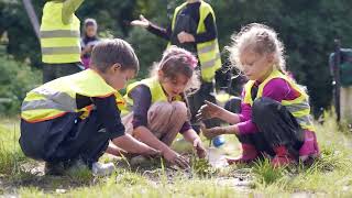 Why do we feel good in nature?