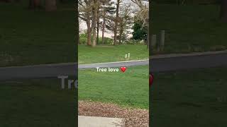 The Canyons at Dellwood park  Hole 14     Tree love