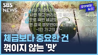 체급보다 중요한 건…꺾이지 않는 '맛' / SBS / 모아보는 뉴스