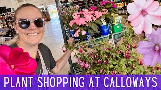 Nursery Tour at Calloway's Nursery & Plant Haul 🌸🌸🌸 || Shopping For Plants