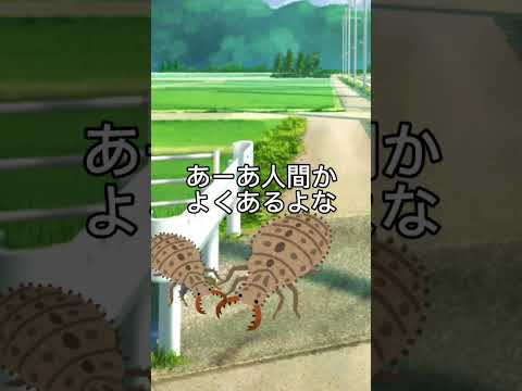 ウスバカゲロウの幼虫　蟻地獄とは、？