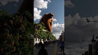 Giant monkey invades city centre