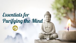15 Essentials for Purifying the Mind #VenRenzeTeachings #buddhistpractice #dharma #enlightenmentpath