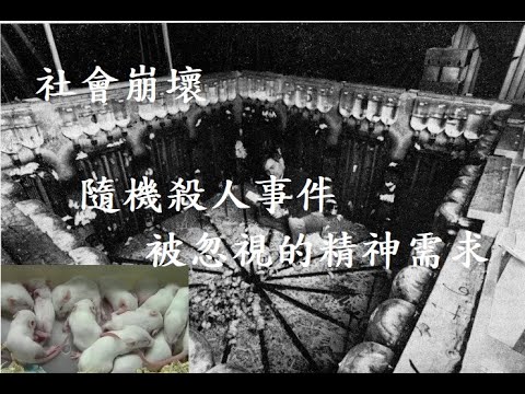 #原創 隨機殺人事件,被忽視的精神需求#原創 #有聲書 #人生 #社會