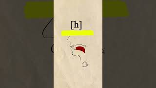 Voiced Glottal Fricative [ɦ] #phonetics
