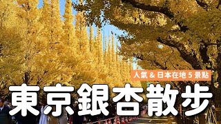 東京銀杏人氣&私房5景點💛東京大學 上野公園 明治神宮外苑 芝公園 東京車站行幸通｜東京11月12月旅遊必去 4K VLOG