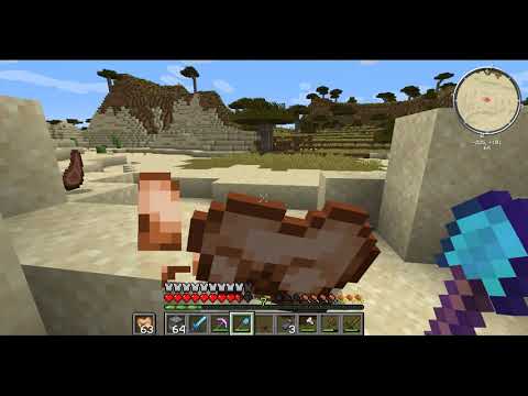 Meat Desert
