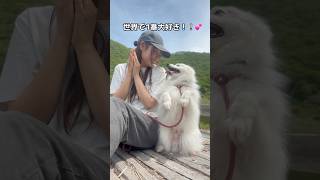 My partner who always has fun with me is the best #dog #dogtricks