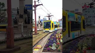 【鹿児島市電1013号】【鹿児島中央駅】前電停に入ります。#shorts#鹿児島市電 ＃tram