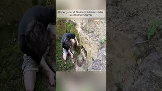 Solo Camping in My Handmade Forest Shelter | Rainy Night Survival#Bushcraft #CampingLife