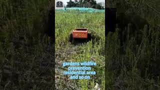 Wireless radio control tracked tank lawnmower for sale#chinamower #gardenmachine #gardeningtools