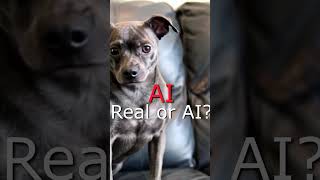 Real VS AI? #ai #artificialintelligence #aivsreality #aivideo