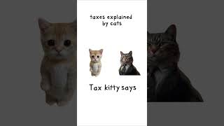 Taxes explained - #kitty #economics #econtok #financetok #economics