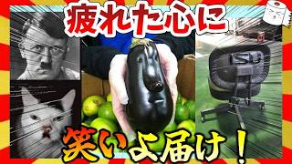 [🔥 Hilarious] 31 funny images to soothe your tired heart! Garu-chan Summary/2ch