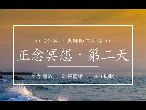 【正念冥想入门】第二天 正念呼吸与身体   改善情绪，减压助眠，放松身心，缓解内耗，减少焦虑抑郁情绪，提升专注，找回内心的宁静和幸福