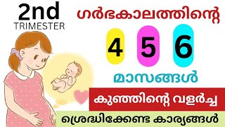 Pregnancy care secount trimester malayalam | 4 to 6 month pregnancy Niya Talks Pregnancy care Tips