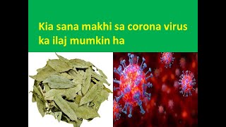 #Sana maki for corona virus|Sana makki coronavirus|Senna makki benefits|Sana makki k faidy urdu mein