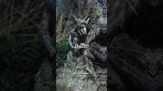 Top 10 MYTHICAL CREATURES in the Philippines😱