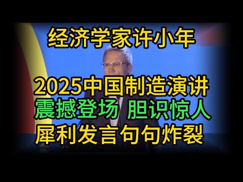 【许小年】经济学家演讲，2025中国制造大会震撼登场！犀利发言句句炸裂！胆识惊人！！！| 兔子看世界 |光伏 |创新 |投资 |产业政策