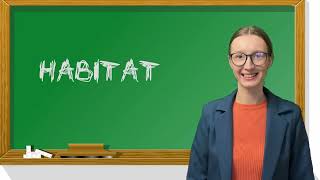 Animal Habitats | Animal Homes | Animals Video for Kids | EnglishLizard