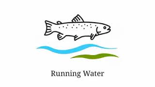 #FisheriesFact#PMMSY focuses