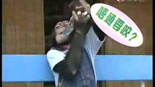 阿笨與阿占 09(1-4)