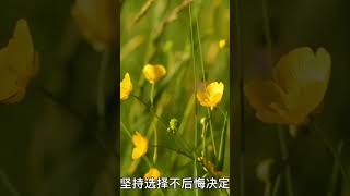 如果决定，就相信自己吧，坚持选择，不后悔决定，自信那么重要，一定能让你前进无畏