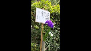 島崎藤村　破戒　一　朗読平野直樹