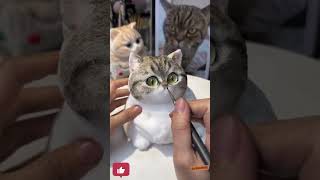 #entertainment #funnyvideo #viralvideo #codemy #reel #reels #shorts