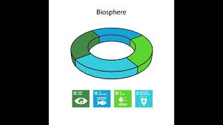 The SDGs "wedding cake" (animation)