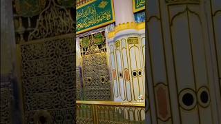 Meri Ulfat Madine se||#ghulammustafaqadri #meriulfatmadinese#anmoolazkaar#shorts#viral #imamqasim