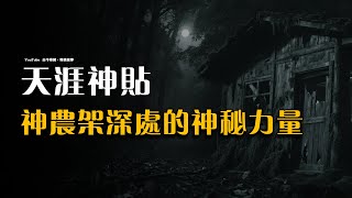 【天涯神贴】神农架深处的神秘力量！|  故事會 | 鬼故事 | 靈異故事 | 恐怖詭異故事 | 民間怪談 | 睡前鬼故事 | 解壓  | 深夜講鬼話 #助眠故事