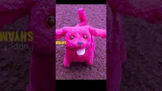Cute Dog wants to be adopted #marionettes #puppet #dogshorts