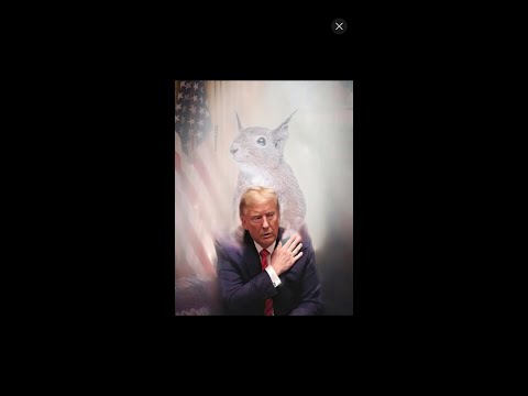Trumps Caesarism and how gender theory and CRT cost the left the election.