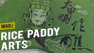 Farmable Art in Miaoli (苗栗) |📍𝑴𝒊𝒂𝒐𝒍𝒊 | Come Away with Me