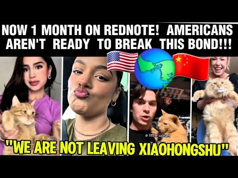 AFTER 1 MONTH ON REDNOTE AMERICANS ARE NOT READY TO STAY A MINUTE AWAY FROM CHINESE| BOND CHINA & US