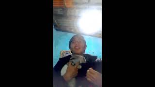 saludo en ingles basico