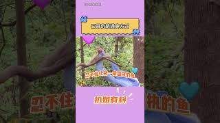 不要干預大自然的生存法則，讓它自己出來