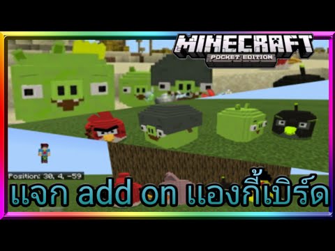เเจก add on เเองกี้เบิร์ด : Minecraft pe