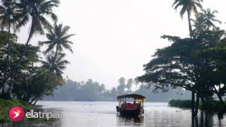 Gorgeous Greens - Part 3, Along the backwater beauty - Vembanad