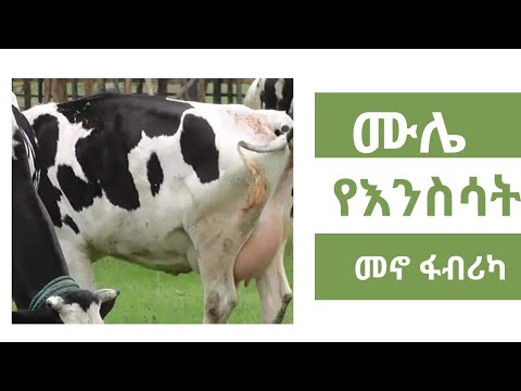 ሙሌ የእንስሳት መኖ ፋብሪካ በባህርዳርና በአዲስ አበባ እጅግ ዘመናዊ የእንስሳት መኖ ይዞ ቀረበ።