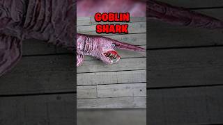 THE MOST TERRIFYING SEA CREATURES THAT EVER EXISTED…😱🌊
