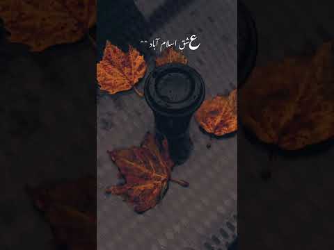 #islamabad #weather #pakistan #ishq #autumn #leaves #rain #shorts #subscribe #follow