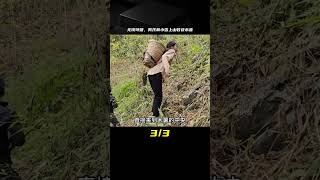 男孩和小雪沒有東西可以賣錢，只能上山收獲木薯 #新農人計劃2024 #我的鄉野山居生活 #荒野求生 #荒野独居 #求生挑战 #生存挑战 #荒野