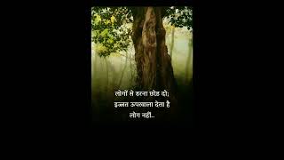 #shorts #successtip #trending #youtubeshorts #viral #ytshorts #motivation#shortsfeed