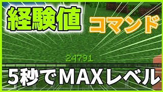【マイクラ】経験値コマンド！5秒でMAXレベルに！