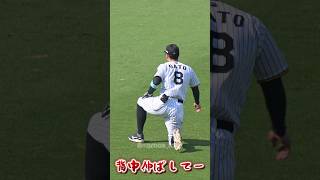 ファンと息ぴったりな佐藤輝明 #阪神タイガース